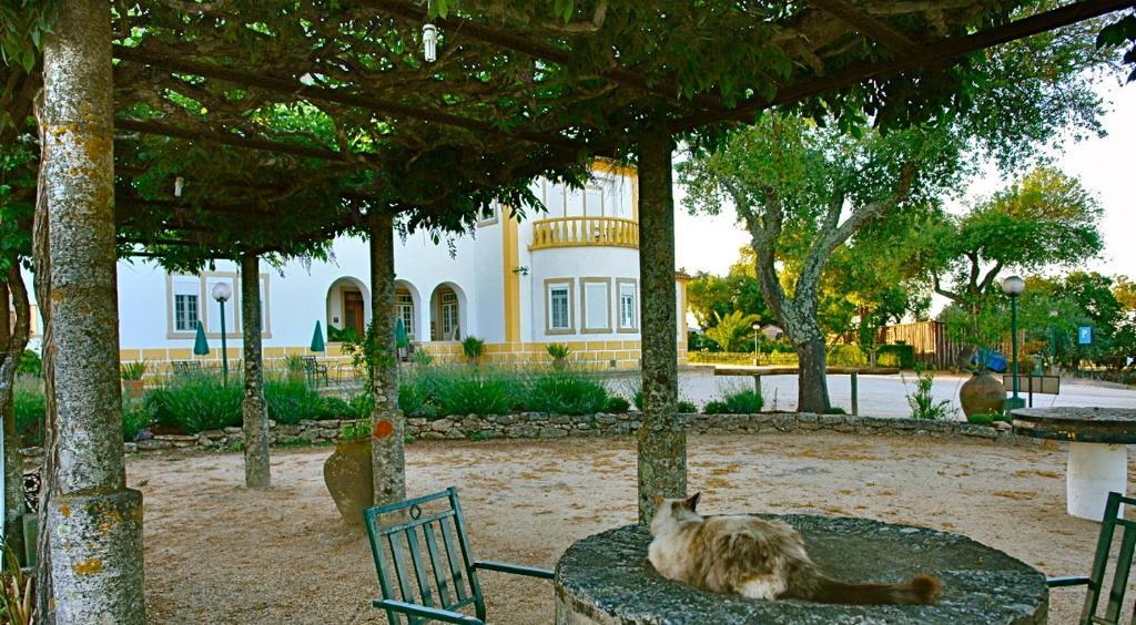 Quinta Da Bela Vista Apartment Póvoa e Meadas Екстериор снимка